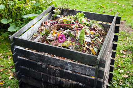 Composting Image